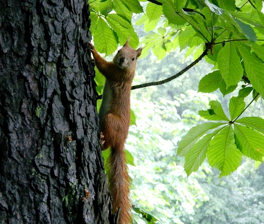 Warszawa. Deszczowe azienki.