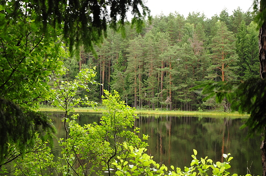 Suchar Wielki, Wigierski PN