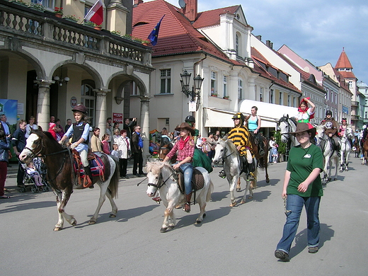 Parada koni 2013 r. Pszczyna