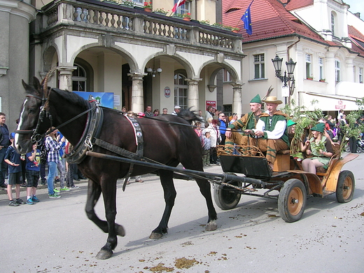 Pszczyna. Parada koni 2013 r.