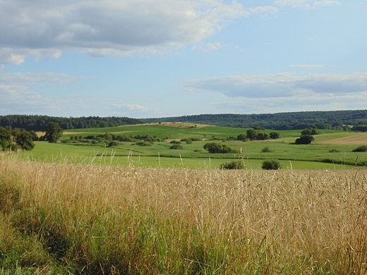 Widoki niedaleko Barlinka