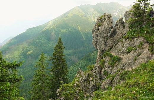 Widok z Gsiej Szyi.