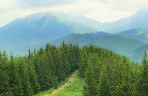 Widok z Gsiej Szyi.