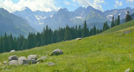 Widok z Rusinowej Polany.