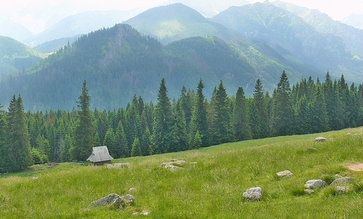 Widok z Rusinowej Polany.