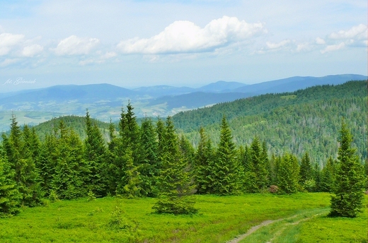 Gorczaskie szlaki.