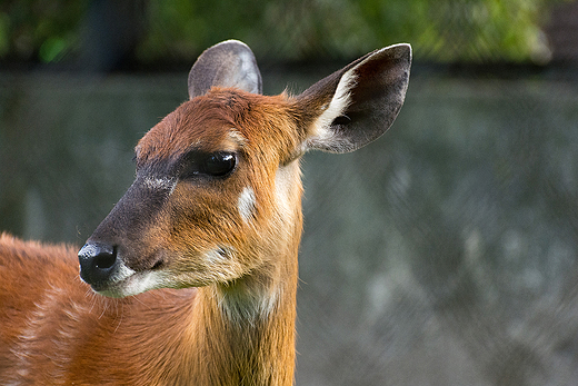 Zoo w Warszawie