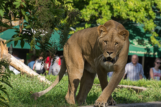 ZOO w Warszawie