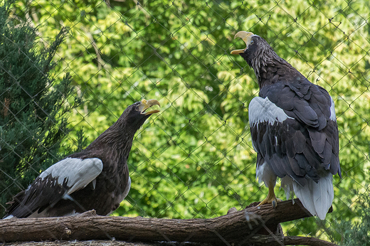 ZOO w Warszawie