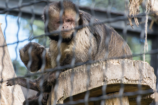 ZOO w Warszawie