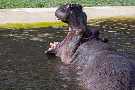 ZOO w Warszawie