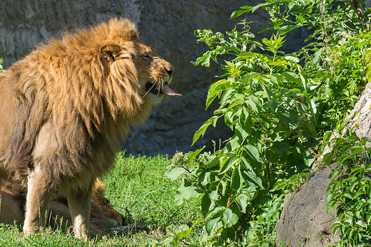 ZOO w Warszawie