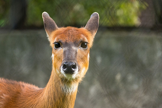 Zoo w Warszawie