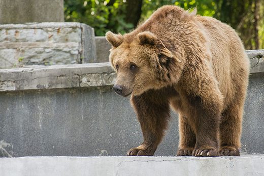 ZOO w Warszawie