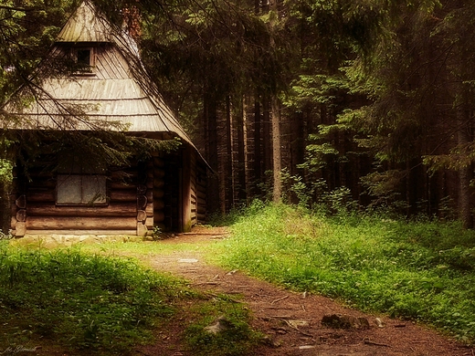 Tatry...samotna chaupa.