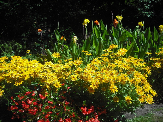 Warszawa. W Ogrodzie Botanicznym.