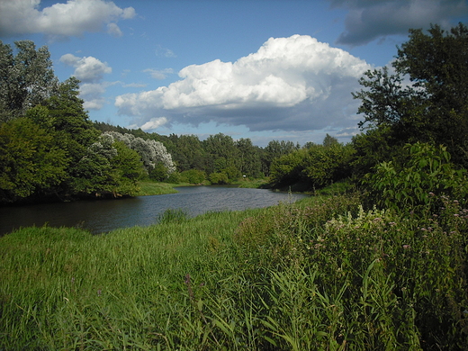 Kosewko. Nad Wkr.