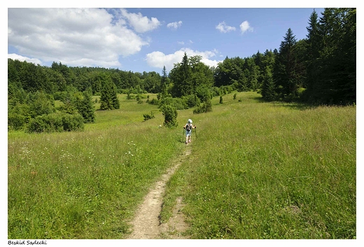 Na szlaku do Bacwki nad Wierchoml