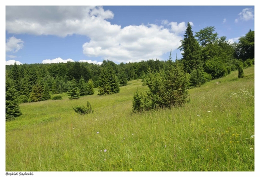 Na szlaku do Bacwki nad Wierchoml