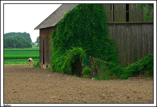 Kalisz - ul. Szczypiornicka _ stara zabudowa