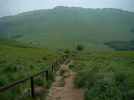 BIESZCZADY