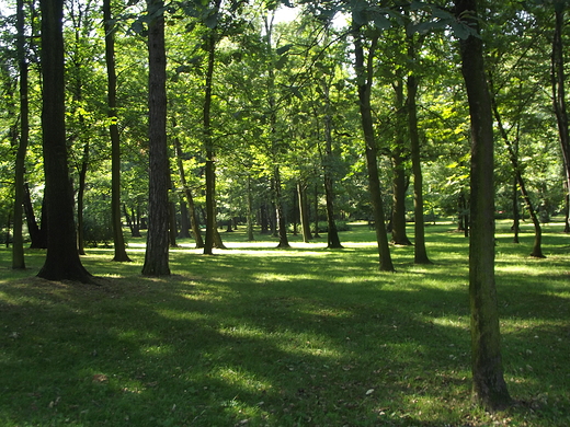 Katowice.Park Kociuszki.