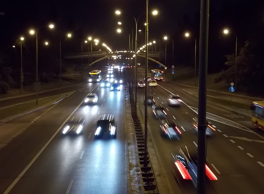 Warszawa. Trasa azienkowska w okolicach azienek.