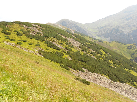 Czerwonym szlakiem na Giewont