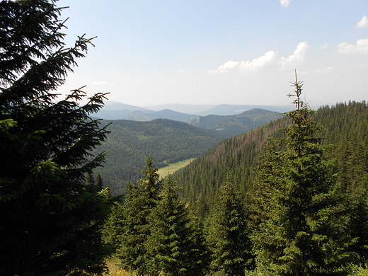 Czerwonym szlakiem na Giewont