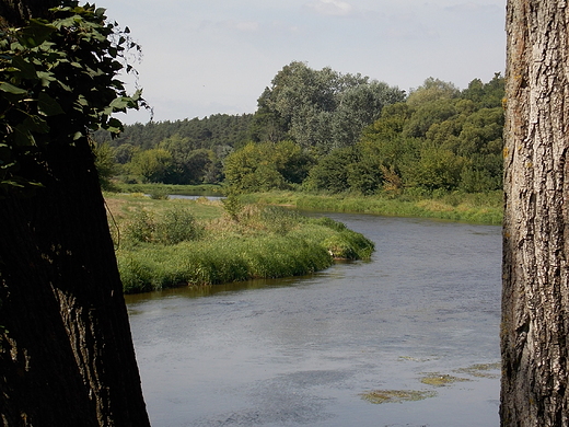 Goawice Pierwsze. Nad Wkr.