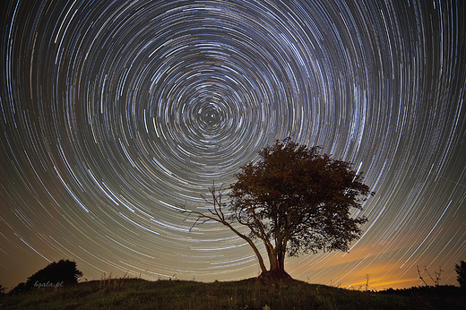 Startrails Turtul