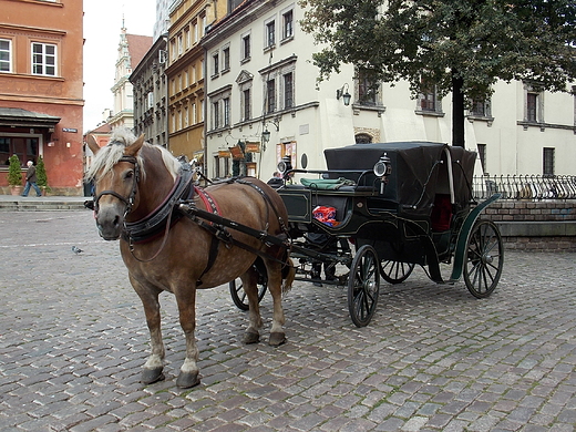 Warszawa. Na Starwce.