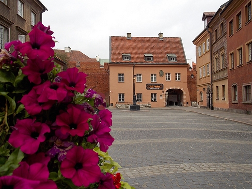 Warszawa. Na Starwce.