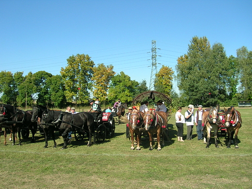 Doynki miejskie 2013 - Zabrze Grzybowice