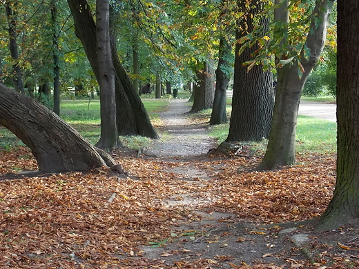 Warszawa. Wrzesie w azienkach.