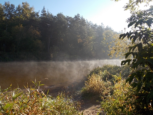 Szczypiorno. Poranek nad Wkr.