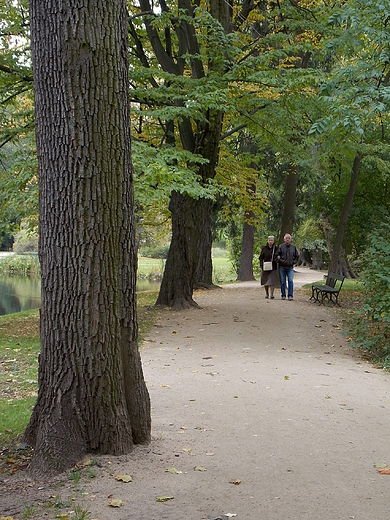 Warszawa. Jesie w azienkach.