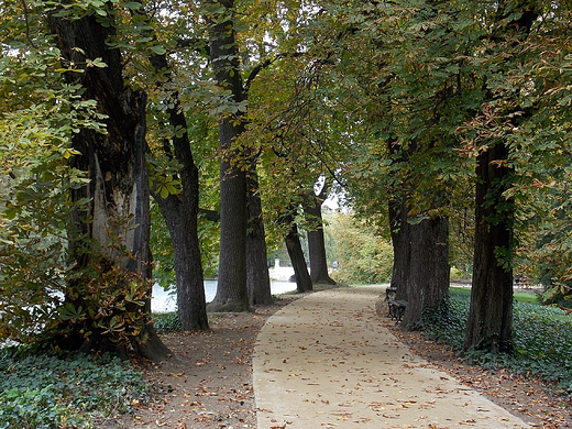 Warszawa. Jesie w azienkach.