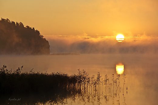 Zatoka Supiaska 1