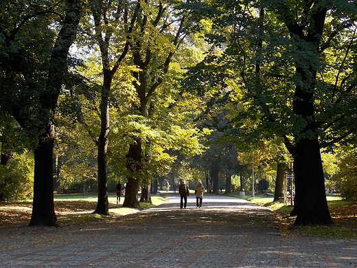 Warszawa. Jesie w Parku Skaryszewskim.