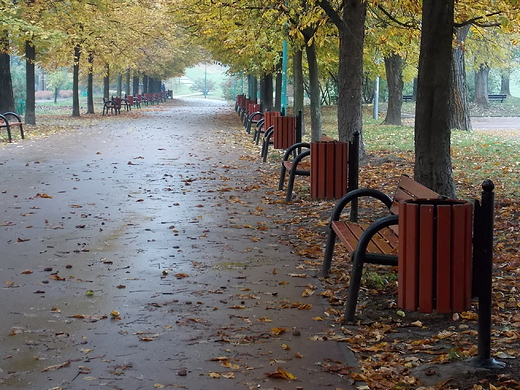 Warszawa. Jesie w Parku Szczliwickim.