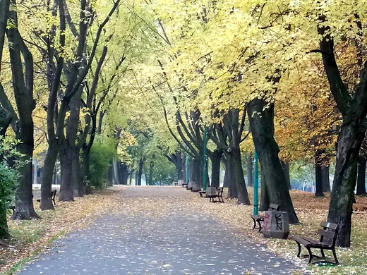 Warszawa. Jesie w Parku Szczliwickim.