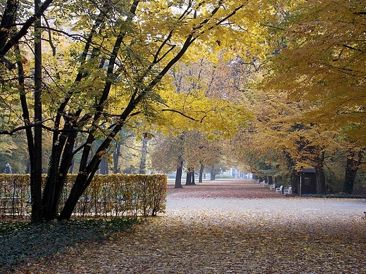 Warszawa. Kolory jesieni w azienkach.