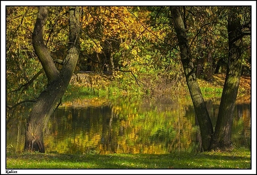 Kalisz - jesie 2013 _ w parku miejskim