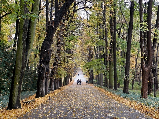 Warszawa. Jesie w azienkach.