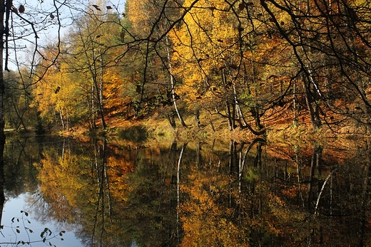 Jesie nad Centuri