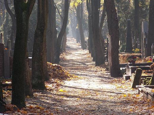 Warszawa. Cmentarz Powzkowski.