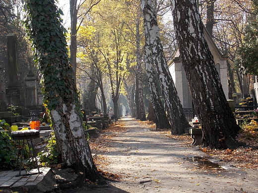 Warszawa. Cmentarz Powzkowski.