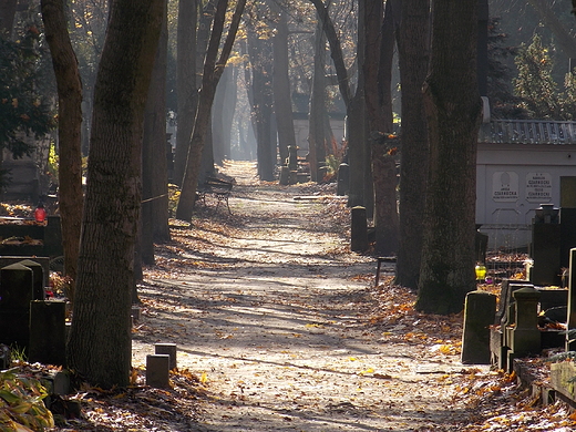 Warszawa. Cmentarz Powzkowski.