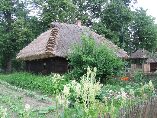 MUZEUM ROLNICTWA